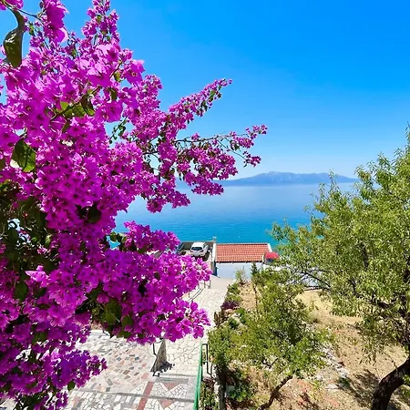 Apartament Vila Lucija *
